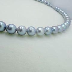 Madama Full Flawless String Necklace Seawater AKoya Pearl Akoya (7.5-8mm)ASAN002