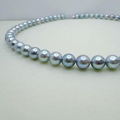 Madama Full Flawless String Necklace Seawater AKoya Pearl Akoya (7.5-8mm)ASAN002