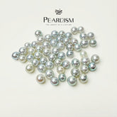 Queen Akoya (1 Akoya Pearl in 1 Oyster 7.5-9 mm)