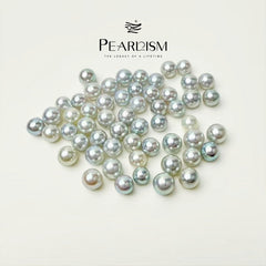 Queen Akoya (1 Akoya Pearl in 1 Oyster 7.5-9 mm)