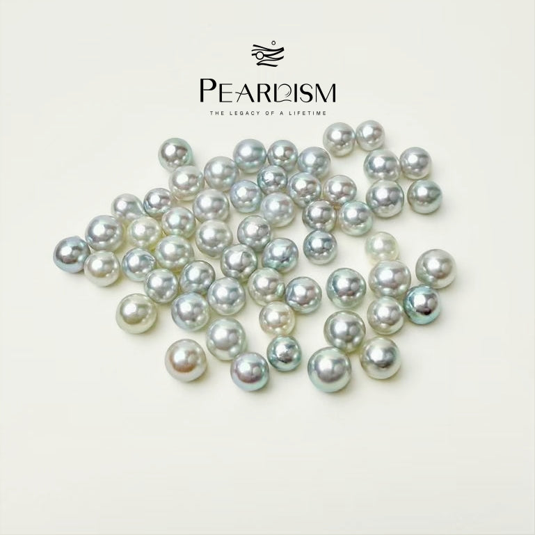 Queen Akoya (1 Akoya Pearl in 1 Oyster 7.5-9 mm)