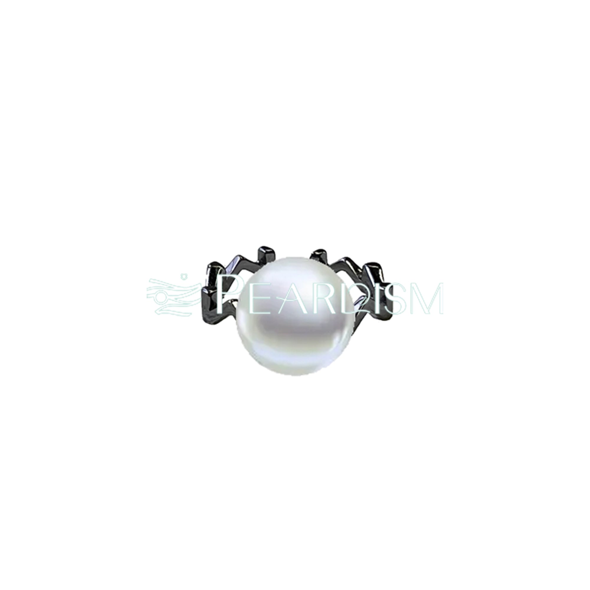 SECGLANCE 【Black Knight 】 S925 Silver Black Small M Ring