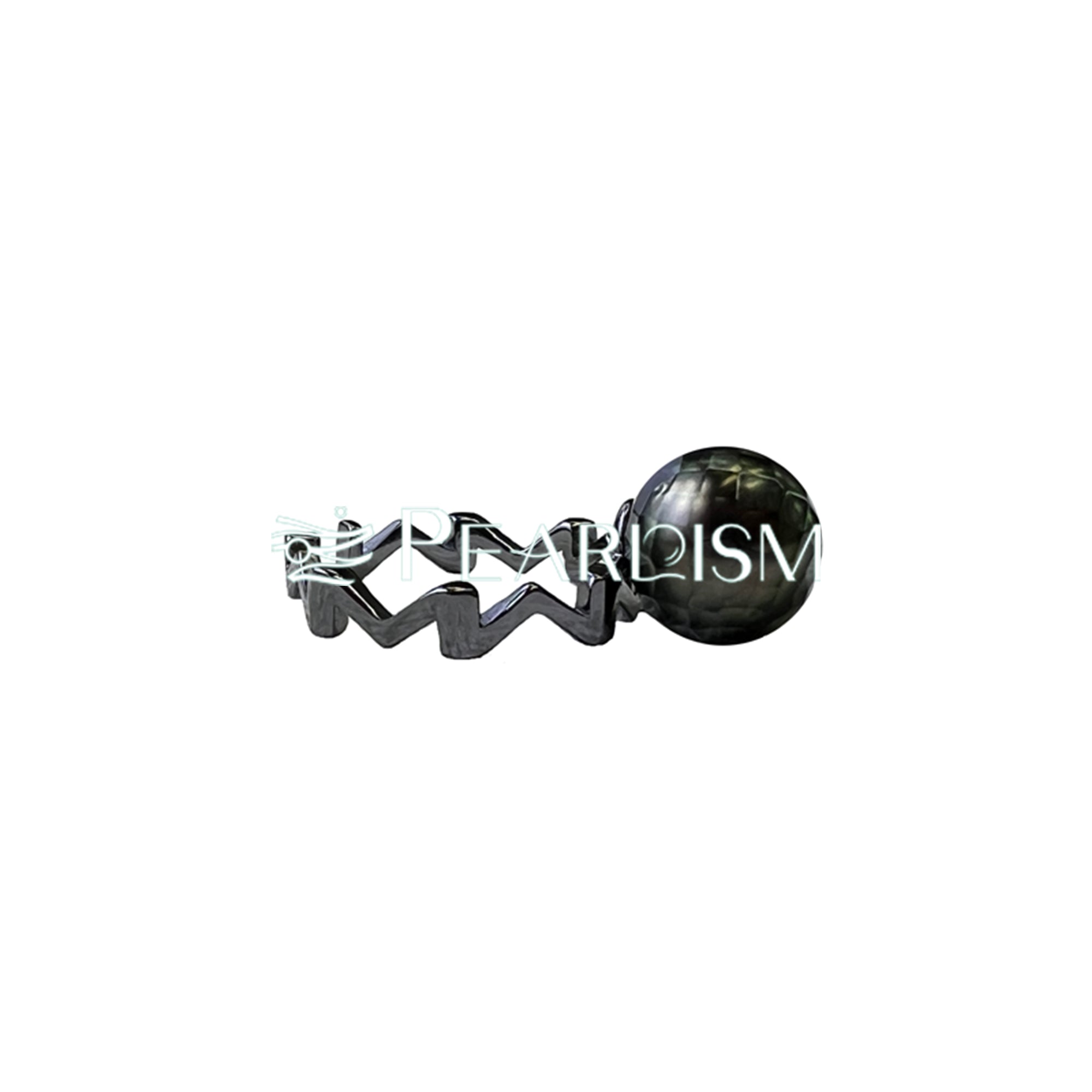 SECGLANCE 【Black Knight 】 S925 Silver Black Small M Ring