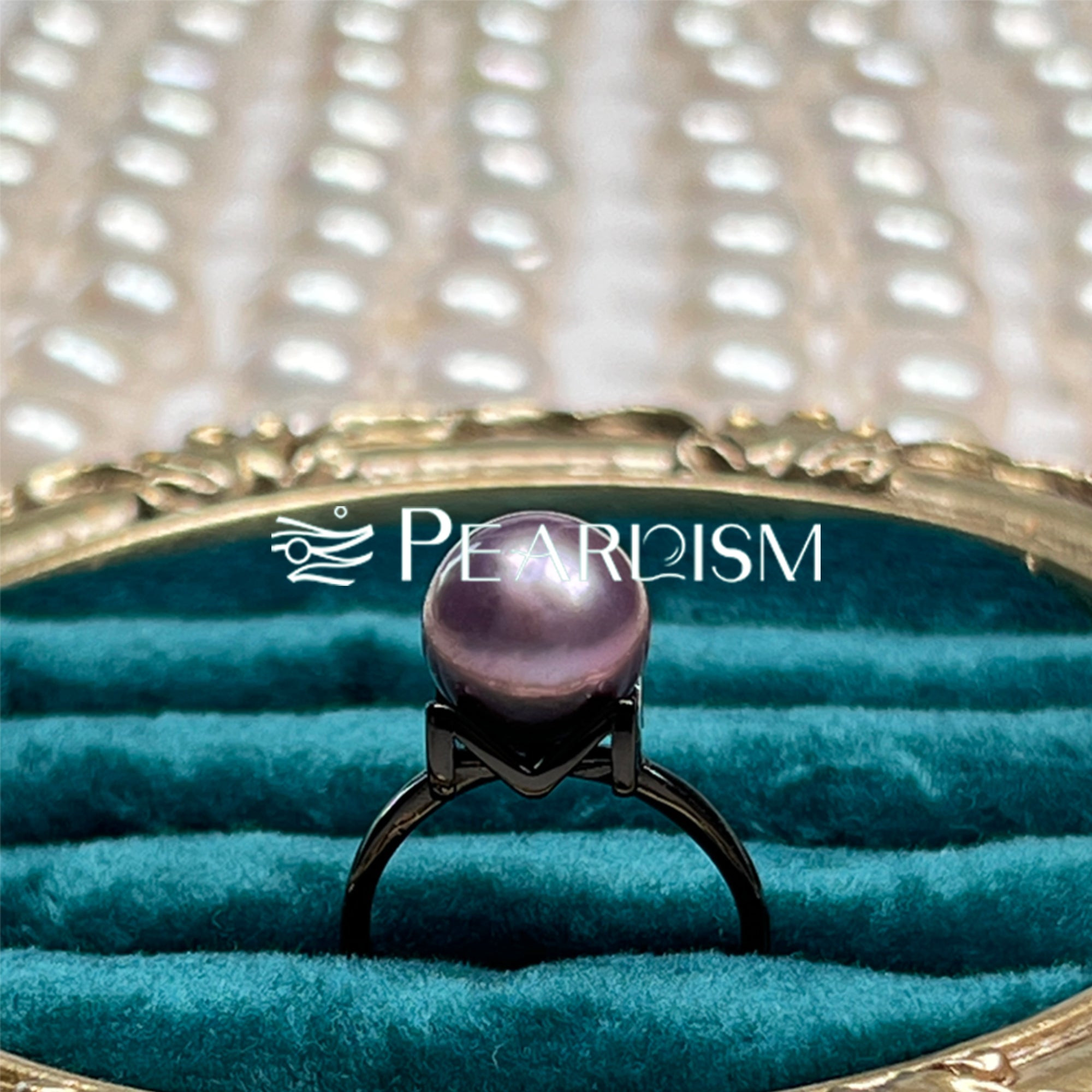 EASTERNPEARLISM【Black Knight 】S925 Silver Black M-Ring